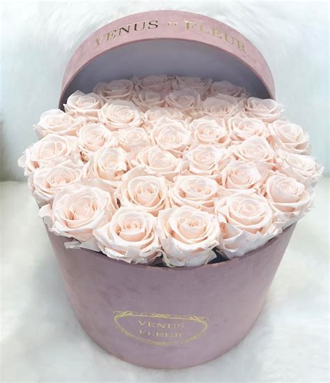 Venus et fleur's eternity roses last an entire year without the need for water. 7,850 curtidas, 109 comentários - VENUS ET FLEUR® OFFICIAL ...