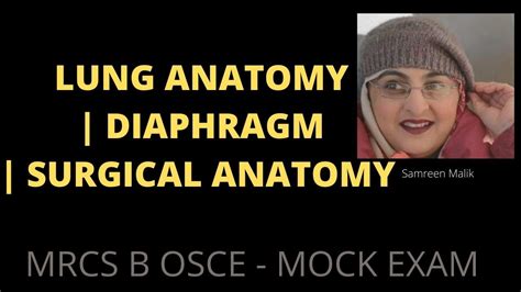 Lung Anatomy Diaphragm Surgical Anatomy Youtube