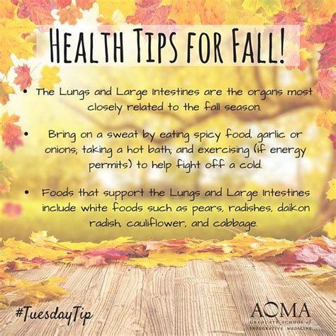 Tuesdaytip Get Ready For Fall With These Health Tips