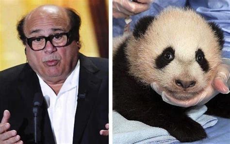 20 Animals That Look Just Like Celebrities Page 5 Of 5