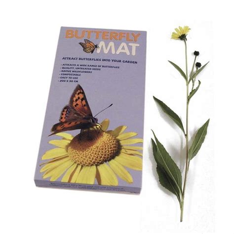 Bee And Butterfly Seed Mats 1m3 — The Worm That Turned