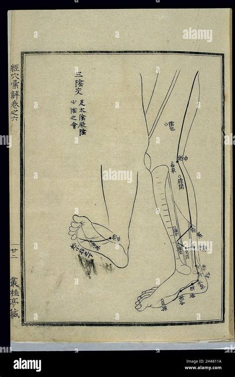 Acu Moxa Chart Kidney Channel Of Foot Shaoyin In The Legs Stock Photo