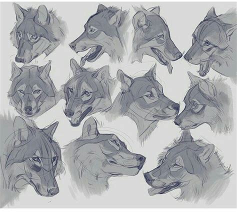 Pin By Terry Rex On Wolf In 2019 Art Art Reference Animal Canine