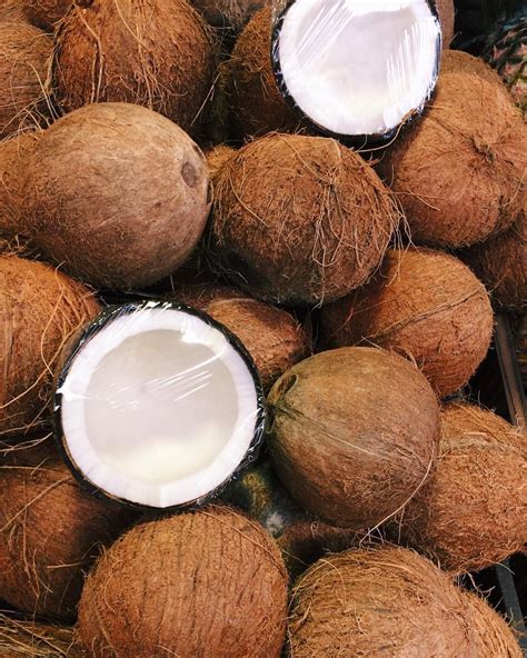 How To Open Up A Brown Coconut Whodoto