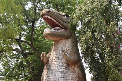 Nandankanan Zoological Park Bhubaneswar What To Know Before You Visit