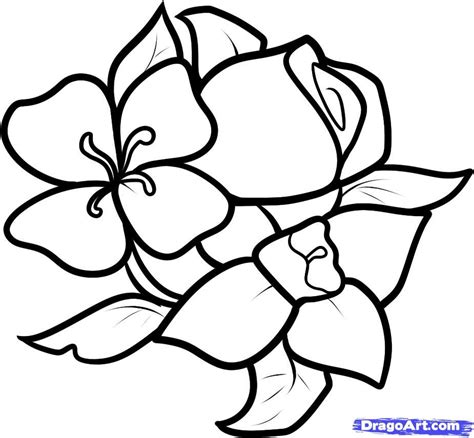 Simple flowers drawings flowers cute simple flower drawing picture. easy to draw flowers throughout simple flower drawings ...