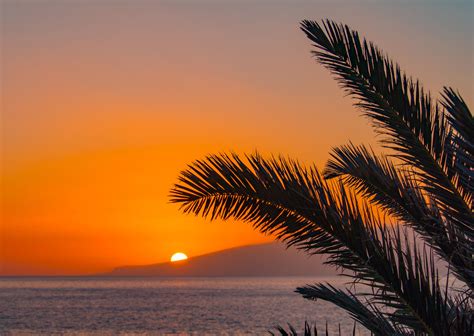 Tenerife Sunset Obsession