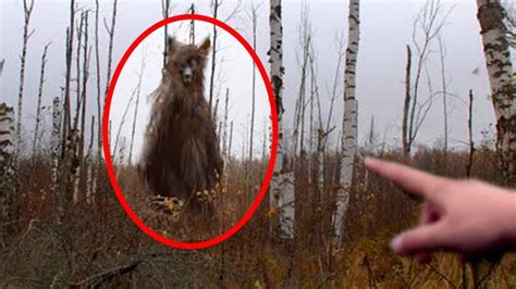 5 Werewolves Caught On Camera And Spotted In Real Life Believe It