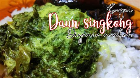 Anda bisa membuat gulai pucuk daun singkong dan dinikmati bersama keluarga tercinta. SAYUR DAUN SINGKONG MASAK SANTAN, - YouTube