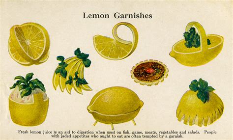 Lemon Garnishes Fruit And Vegetable Carving Citrus Garnish Food