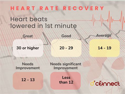 Zone Training Terminology — What Is Your Resting And Maximum Heart Rate
