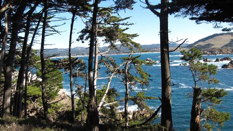 Carmelca Point Lobos Hike Carmel Ca Carmel By The Sea Natural