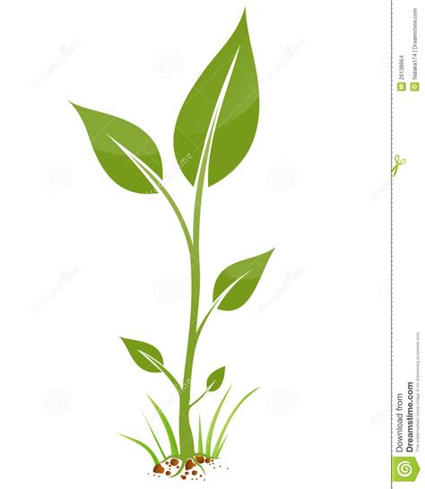 Small Plant Clipart 20 Free Cliparts Download Images On Clipground 2023