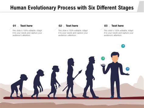 Human Evolutionary Process With Six Different Stages Ppt Powerpoint