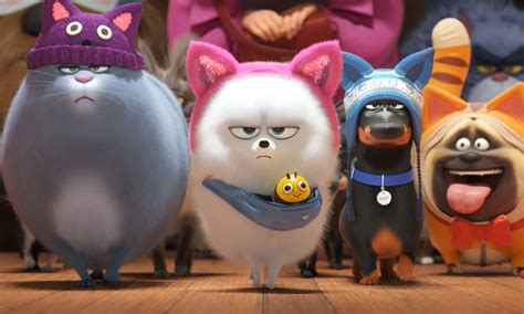 The secret life of pets 2 rated pg for adorable animals in occasional peril, and a brief. Unleashing 'Secret Life of Pets 2' | Animation Magazine