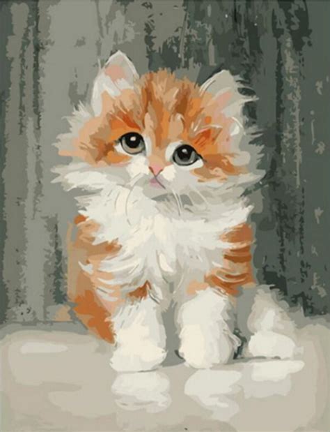 Tabby Kitten Paint By Number Kit Fluffy Orange And White Cat Etsy