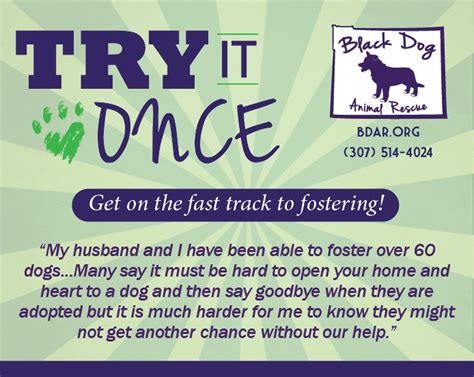 Foster Program — Black Dog Animal Rescue