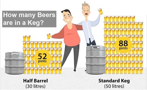 The Ultimate Guide To Beer Kegs Keg Sizes Dimensions