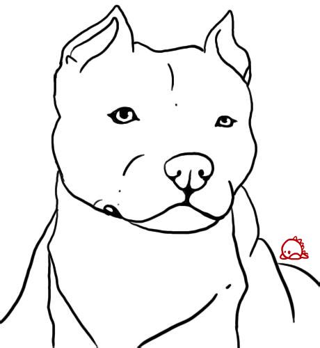 Pitbull Drawings Step By Step Free Download On Clipartmag