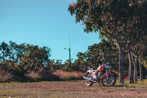 Red Motorcycle Parked Under Tree · Free Stock Photo