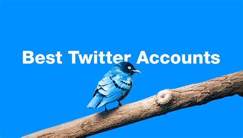 20 Of The Best Twitter Accounts To Follow