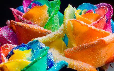 Happy Roses Rainbow Glitter By Rainbowedroses On Deviantart