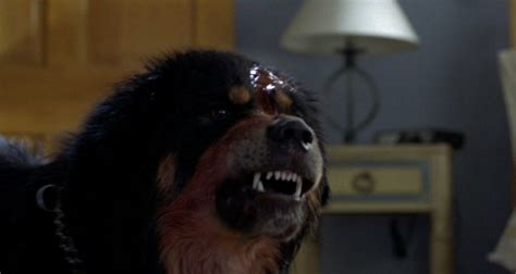 Man's best friend since he attacks a dog turns from man's best friend into man's worst nightmare. The 101 Greatest Dogs in Film History | Consequence of ...