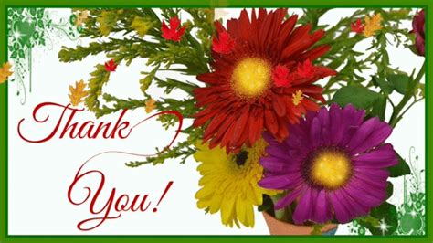 Cute Flowers Thank You Ecard Free Flowers Ecards Greeting Cards 123