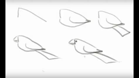 How To Draw A Bird Step By Step Side View