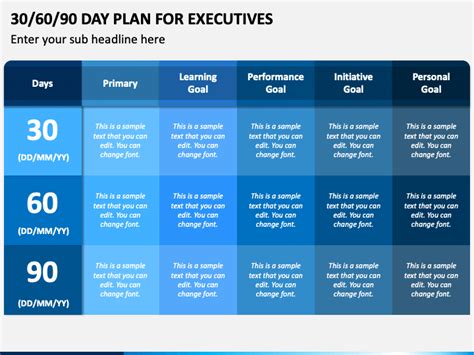 30 60 90 Day Plan For Executives Example Workgulu