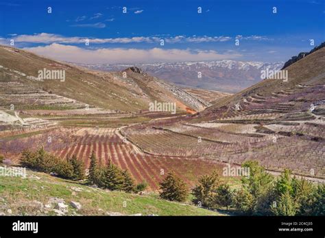 Niha Bekaa Valley Lebanon Stock Photo Alamy