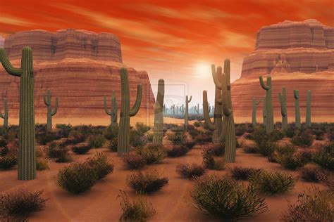 47 Arizona Desert Scenes Wallpaper Wallpapersafari