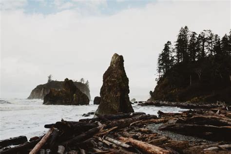 11 Places To See On The Olympic Peninsula That Will Convince You To