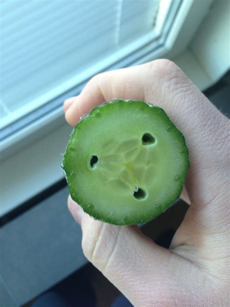 My Cucumber Had 3 Holes That Went Through The Whole Cucumber That