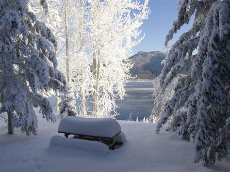 Fotos Gratis Paisaje árbol Naturaleza Montaña Frío Lago