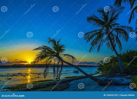 Coco Palm At Sunset Over Tropical Beach In Caribbean Sea Vintage
