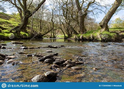 River Surrounded By Trees And Rocks Covered In Mosses Under The