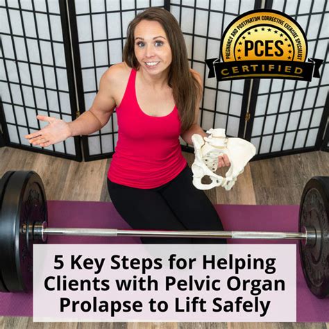 5 Key Steps For Helping Clients With Pelvic Organ Prolapse To Lift Safely Core Exercise Solutions