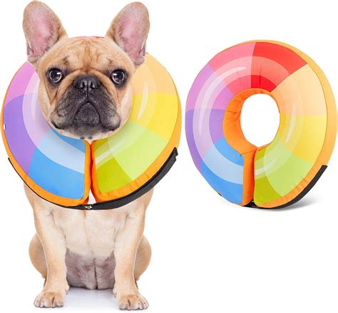 Dog Donut Collar Bienbee Dog Cone Alternative After