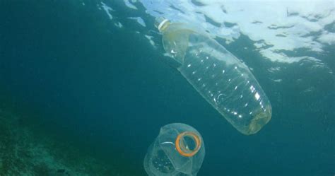 Nlc News 2020 Plastics Ban Nantucket Land And Water Council