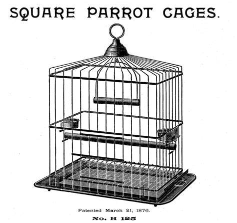 Similar with indian parrot png. Vintage Clip Art - Fabulous Bird Cage - The Graphics Fairy