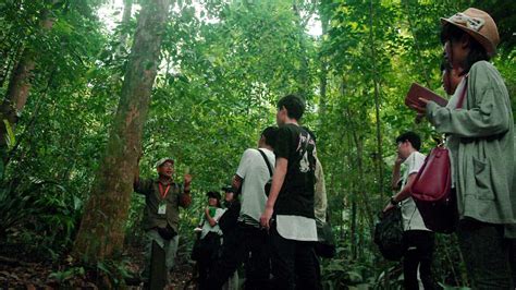 The forest research institute malaysia is a statutory agency of the government of malaysia, under the. Forest Research Institute Malaysia (FRIM) - Tourism Selangor