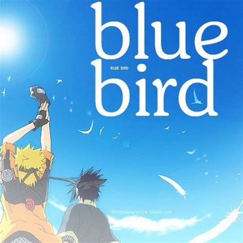 Top 77 Blue Bird Anime Opening Latest Induhocakina