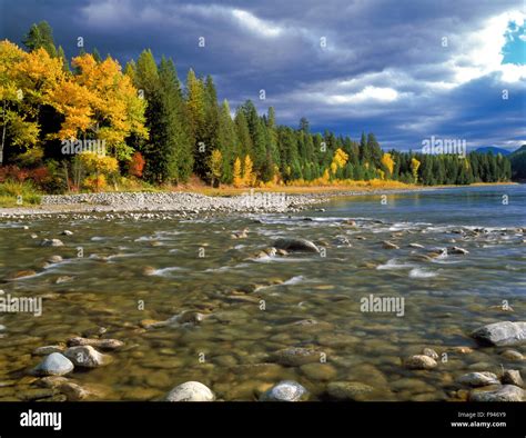 Autumn Colors Along The Yaak River At Confluence With The Kootenai