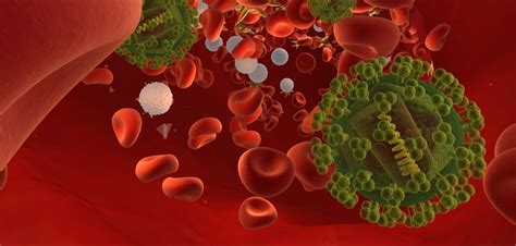 Treated Hiv Still Replicates In Lymph Nodes And Fills Reservoir Poz
