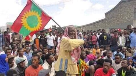 Oromo News Oduu Omn Afaan Oromoo Youtube