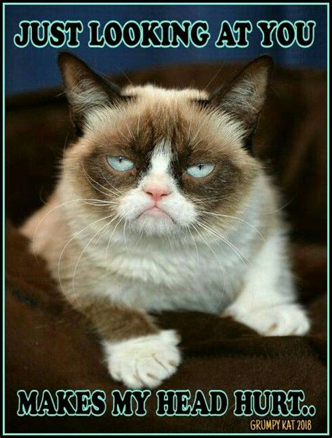 Pin On Grumpy Cat Memes By The Other Grumpy Kat