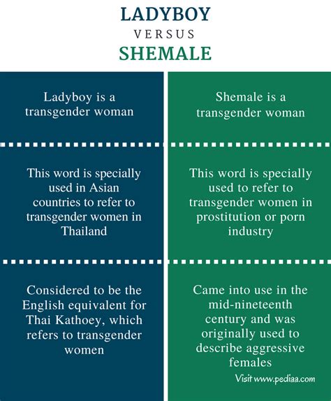 Difference Between Ladyboy And Shemale Meaning Features Origins Usage