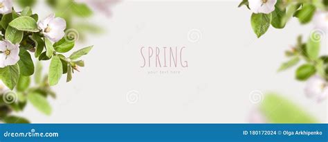 Creative Floral Nature Spring Layout Frame From Beautiful Blooming