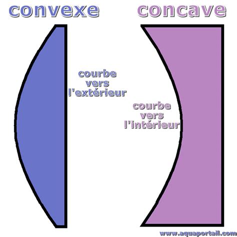 Convexe Définition Et Explications Aquaportail